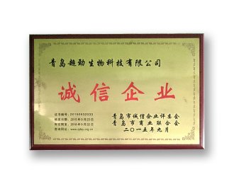 High-Integrity Enterprise