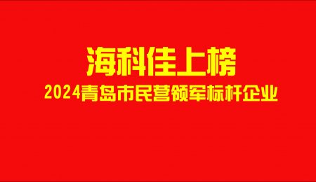 HICOCA Makes the List! Top-Tier Private Enterprise in Qingdao for 2024