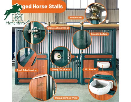 Options personnalisées