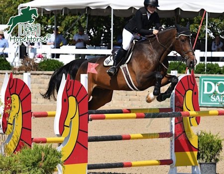 Alu. Entraînement saut