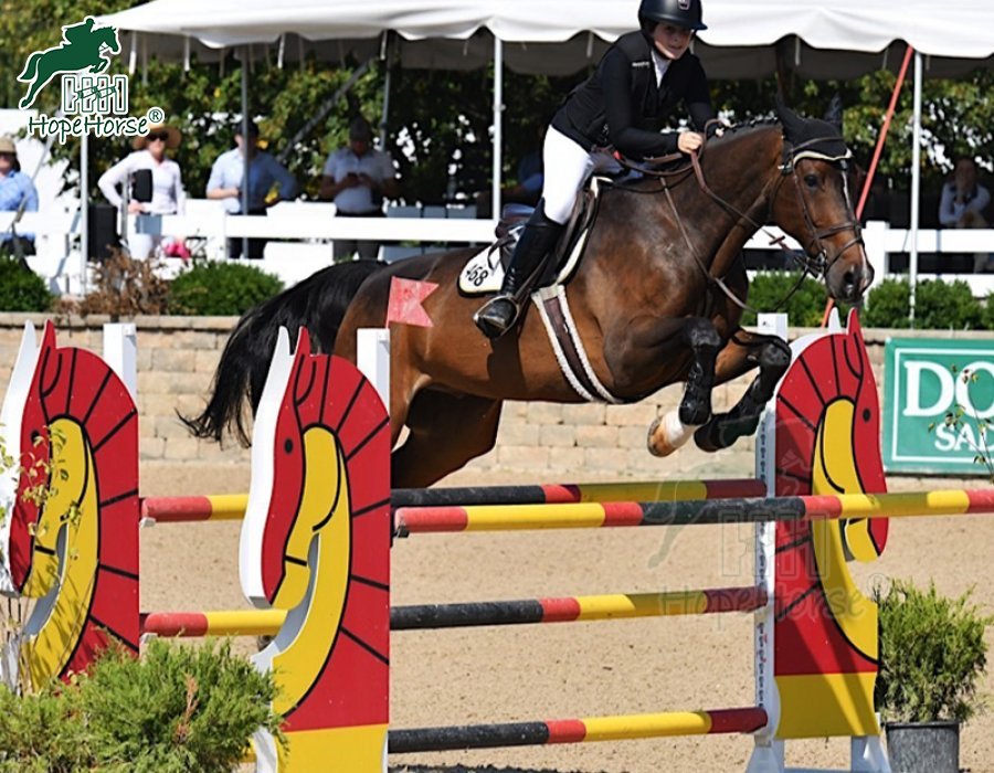 Alu. Entraînement saut