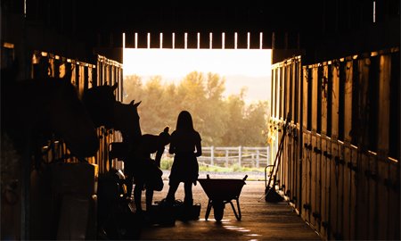 Ce que vous devez savoir sur l'équitation