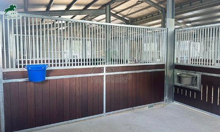 Comment choisir les meilleures mangeoires pour chevaux ?