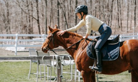 Le guide ultime du rond de longe