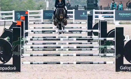 Type de saut d'obstacles