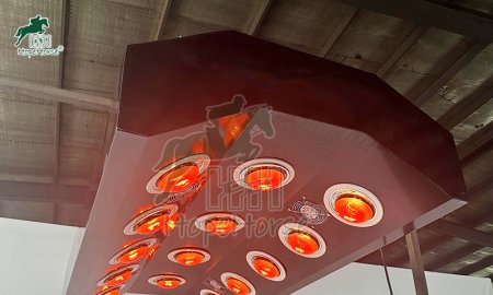 Guide du solarium pour chevaux