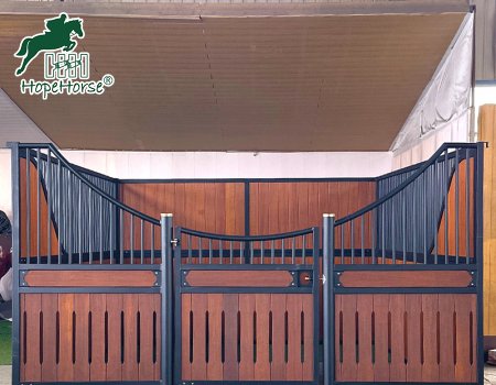 Pension pour chevaux de luxe