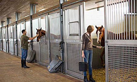 10 étapes pour nettoyer une écurie : offrir aux chevaux un environnement sain et confortable