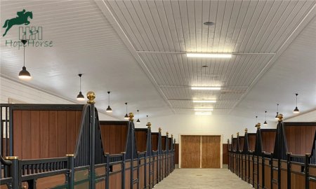 Construction d'écurie pour les débutants : 9 points à connaître avant de