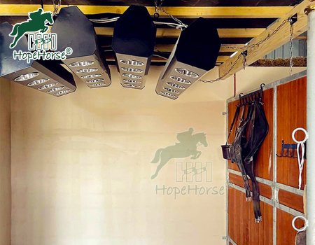 Solarium équin SHE-70