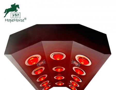 Solarium pour chevaux