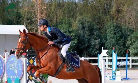 Équipement essentiel pour l'entraînement au saut d'obstacles