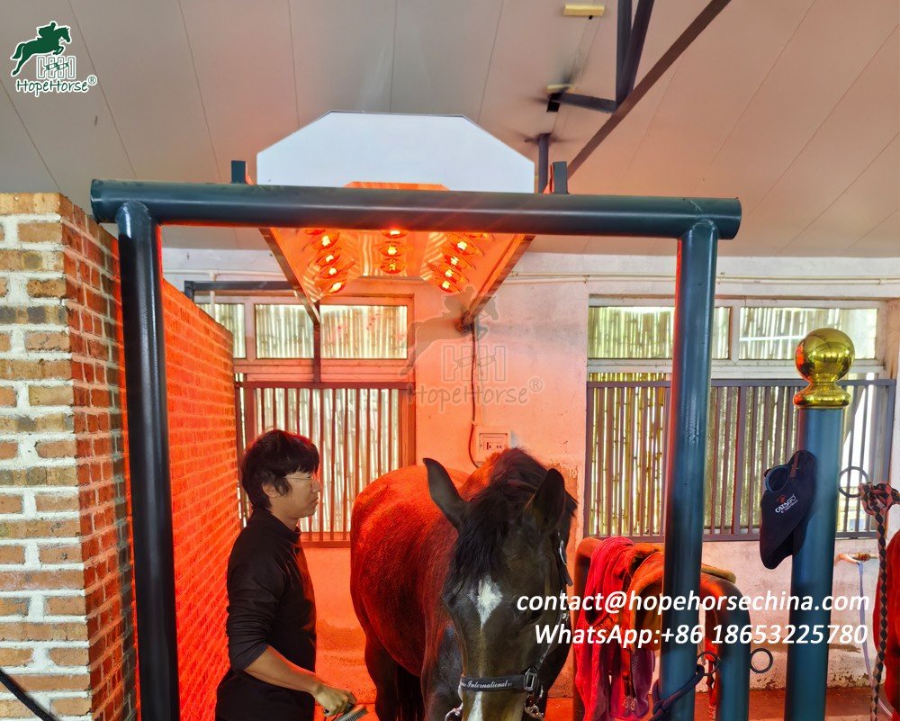 horse solarium horse solarium