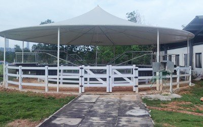 horse walker with pvc fence horse walker with pvc fence