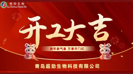 蛇年、新たな旅立ち！ともに高みを目指そう！ 青島超劲生物科技有限公司 2025年、盛大に始動！