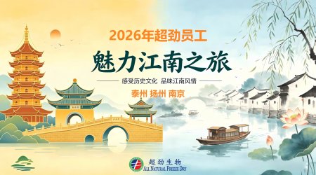 江南を巡り、共に歩む ― 当社江蘇省3都市チームビルディング旅行 無事終了