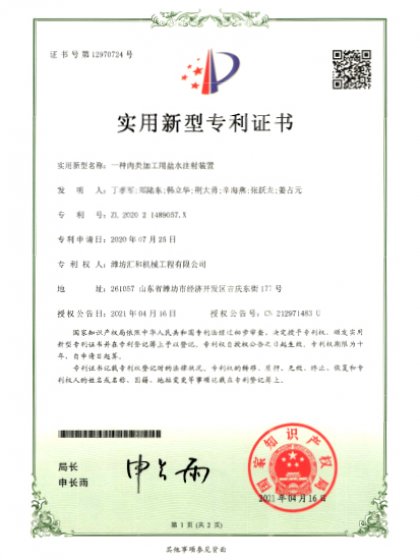 Salt water injection device