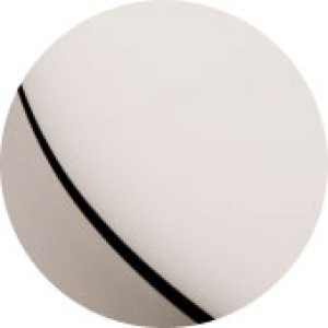 LIFETIME (PVD) POLISHED NICKEL - 055