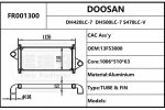 FR001300
