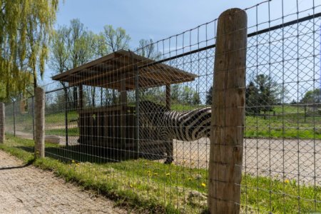  Woven Wire Fence