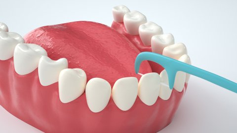 Does dental floss make the gaps between teeth bigger ? 