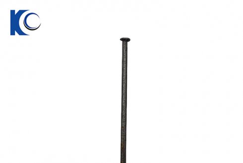 Special Big Common Nails