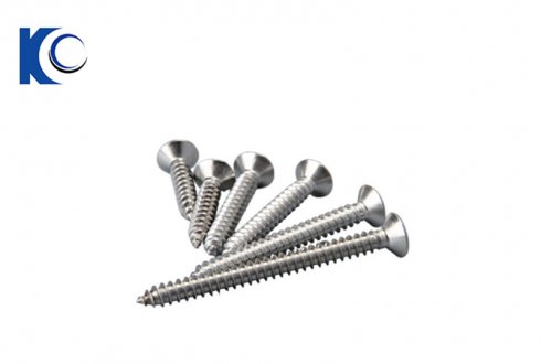 Stainless Steel Screw