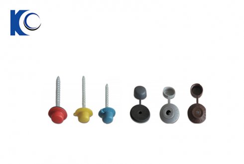 Color Plastic Washer Roofing Screw