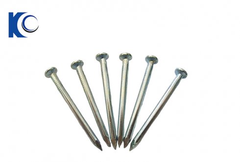Electrogalvanized Concrete Nails（Smooth）