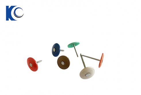 Plastic Washer Roofing Screw