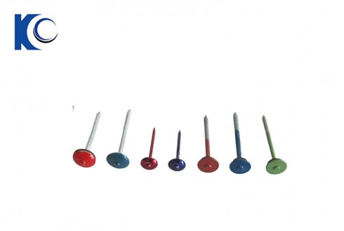 Color Paited Roofing Nails With Umbrella