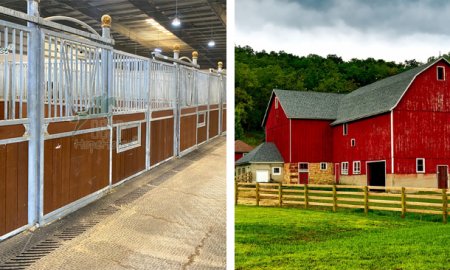 What's the difference between horse barns and horse stables?