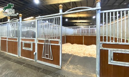 How to get the correct size of horse stall?