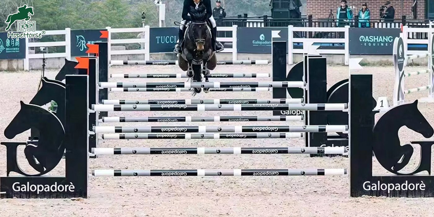 Wooden show jumps