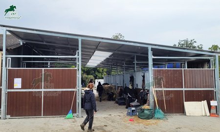 Everything About Horse Shelters You Need to Know