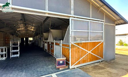 How to Customize a Horse Stable?