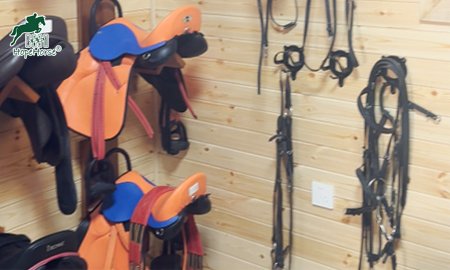 Creating the Ideal Tack Room: A Perfect Blend of Design and Functionality