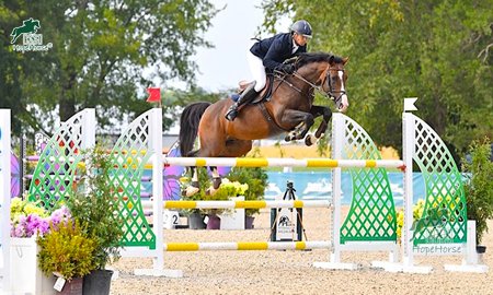 Types of equestrian jumps