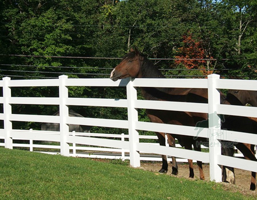 horse fencing2