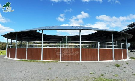 Creating the Perfect Horse Walker Solution