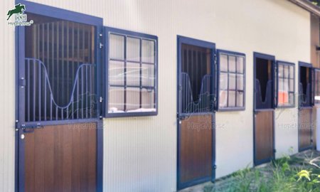 7 Reasons to Choose Dutch Doors