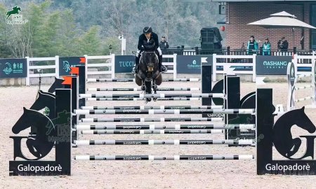 Type of Horse Show Jump Wings