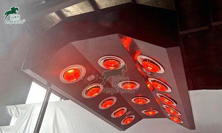 Guide to Horse Solarium