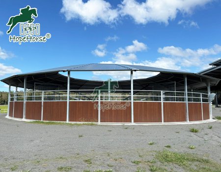 Horse Training Walker with Track Roof