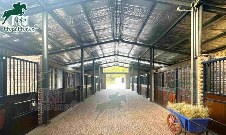 How to Build the Perfect Horse Stable for Your Equine Friend