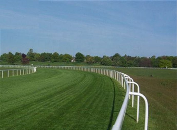 PVC-Europe-Design-Horse-Racing-Rail