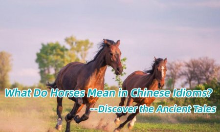 What Do Horses Mean in Chinese Idioms? Discover the Ancient Tales