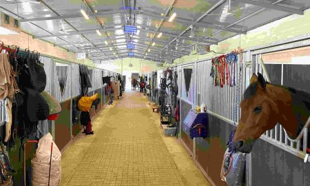 Tack Storage Made Easy: A Beginner-Friendly Guide to Organizing Your Stable