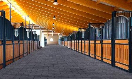 Stable-Building for First-Timers: 9 Things to Know Before You Start