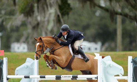 Essential Equipment for Show Jumping Training